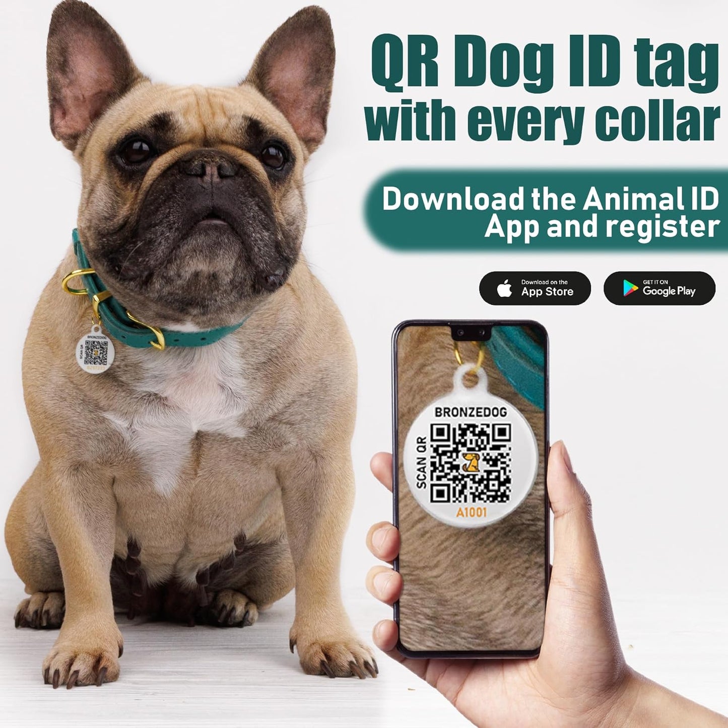 Chic Leather Dog Collar with QR ID Tag - Ideal for Small Dogs & Cats (7-9 Inch, Black & Gold Buckle)