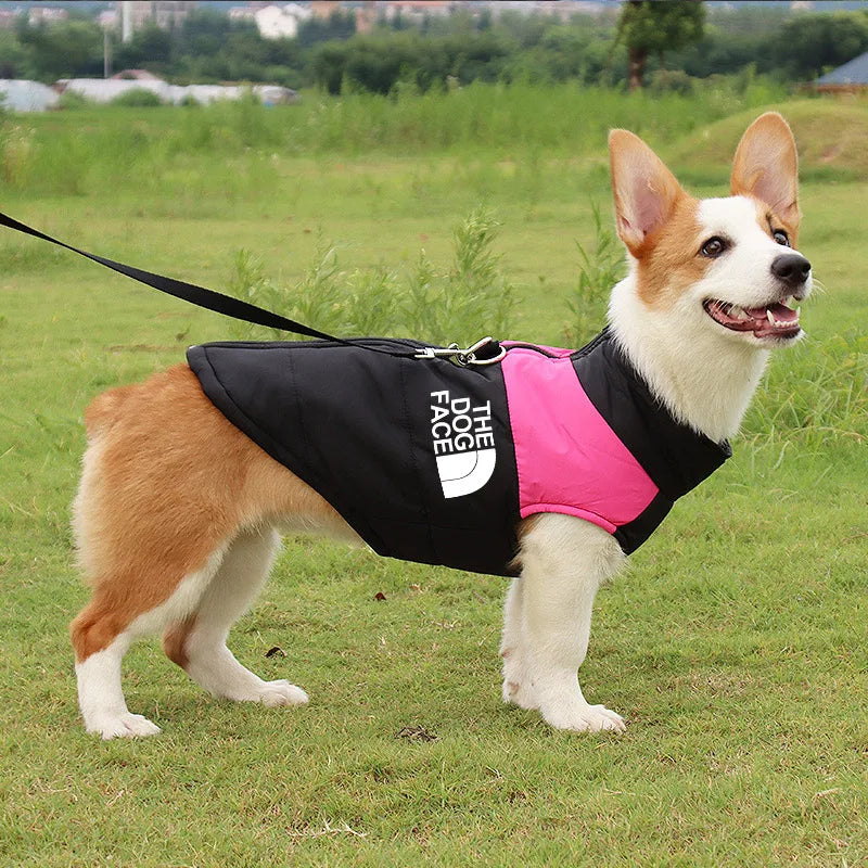 Ultimate Waterproof Winter Dog Jacket - Cozy Padded Vest with Zipper for All Sizes