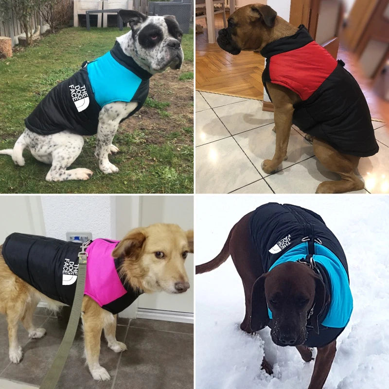 Ultimate Waterproof Winter Dog Jacket - Cozy Padded Vest with Zipper for All Sizes